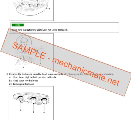 Naza Forte Workshop, Service and Repair Manual PDF (2009-2013)