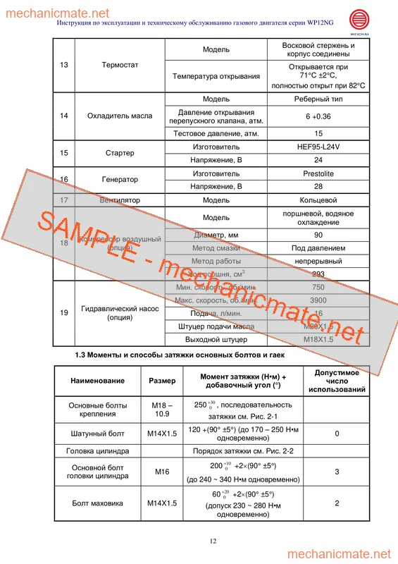 Shaanxi Gas Eng (DVS) Workshop, Service & Repair Manual PDF